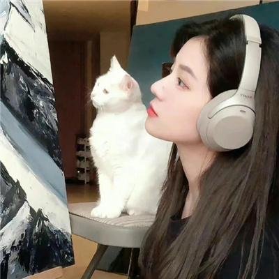 猫咪心动奇迹